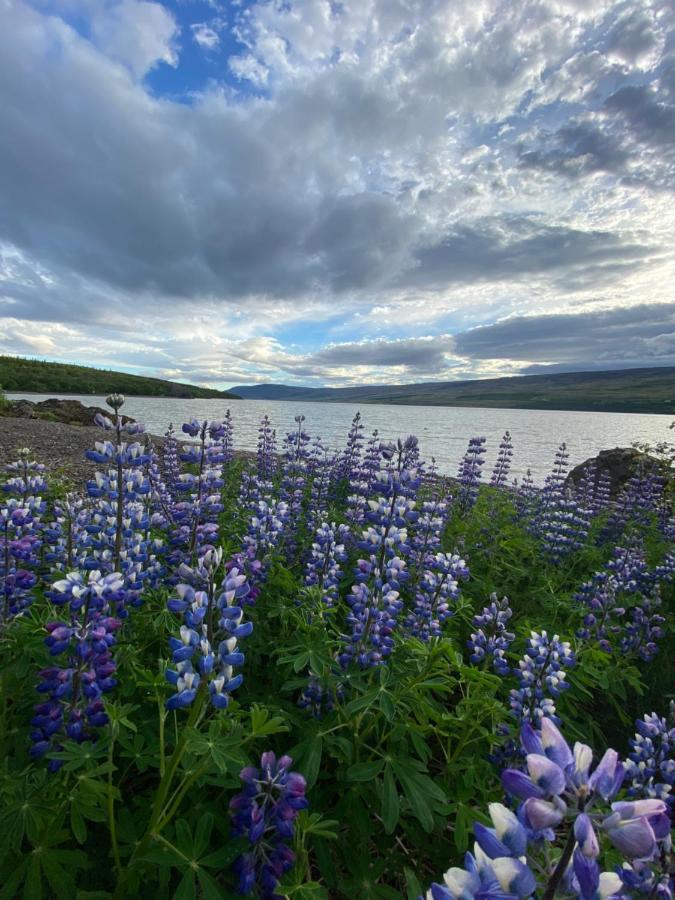 Hengifosslodge Tiny Houses Egilsstaðir Exterior foto